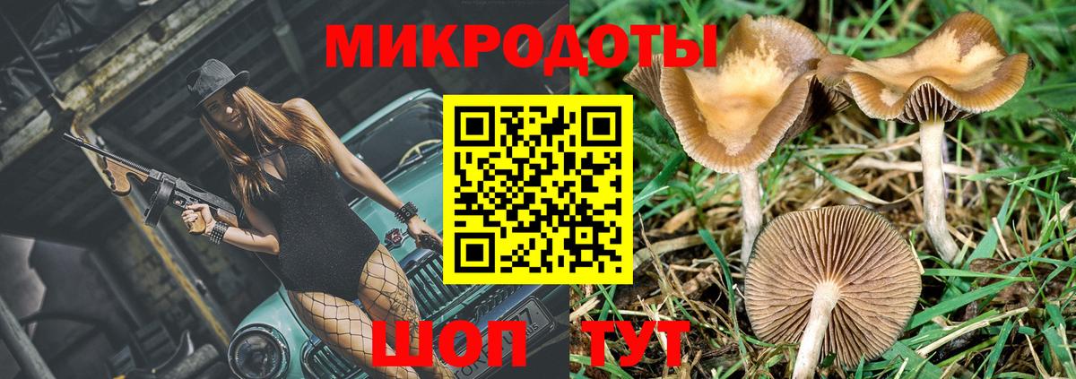 Псилоцибиновые грибы Psilocybine cubensis  Вход с VPN  Орск 