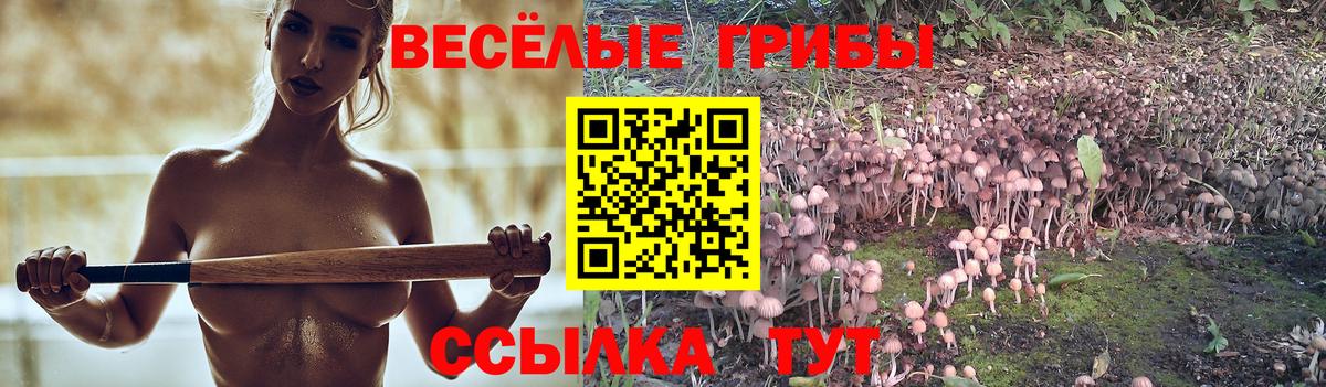 Галлюциногенные грибы ЛСД Орск